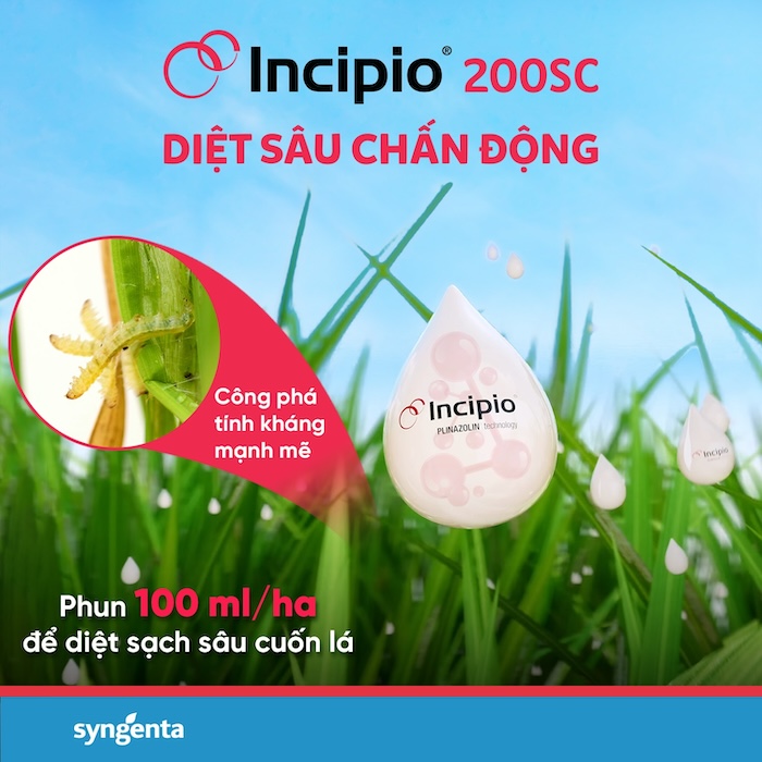 Giá thuốc trừ sâu incipio