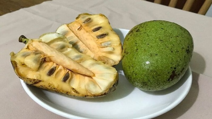 Làm thuốc trừ sâu từ hạt bình bát