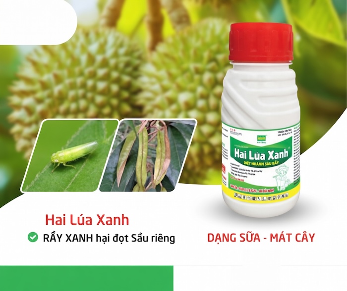 Thuốc trừ sâu dạng hạt hai lúa xanh