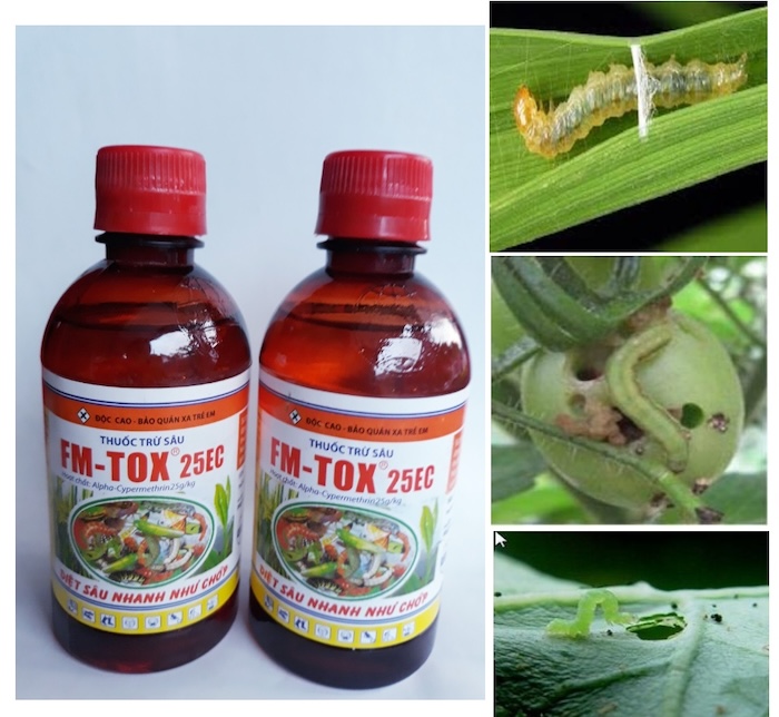 Thuốc trừ sâu fm tox 25ec Thuốc trừ sâu fm tox 25ec