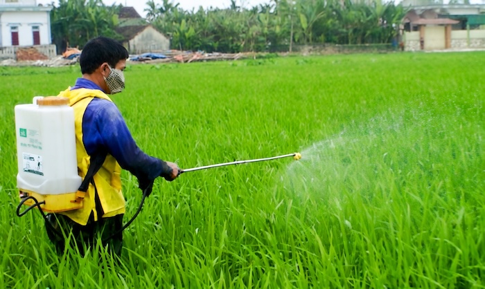 Thuốc trừ sâu hại lúa Thuốc trừ sâu hại lúa