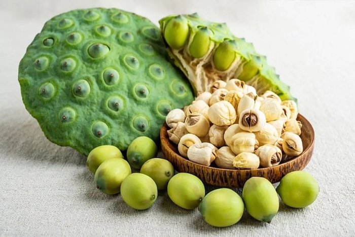 Thuốc trừ sâu hạt sen