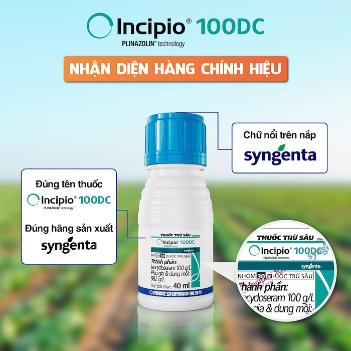 Thuốc trừ sâu incipio 100dc