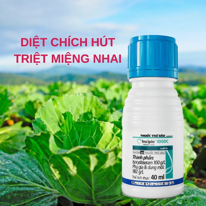 Thuốc trừ sâu incipio 100dc