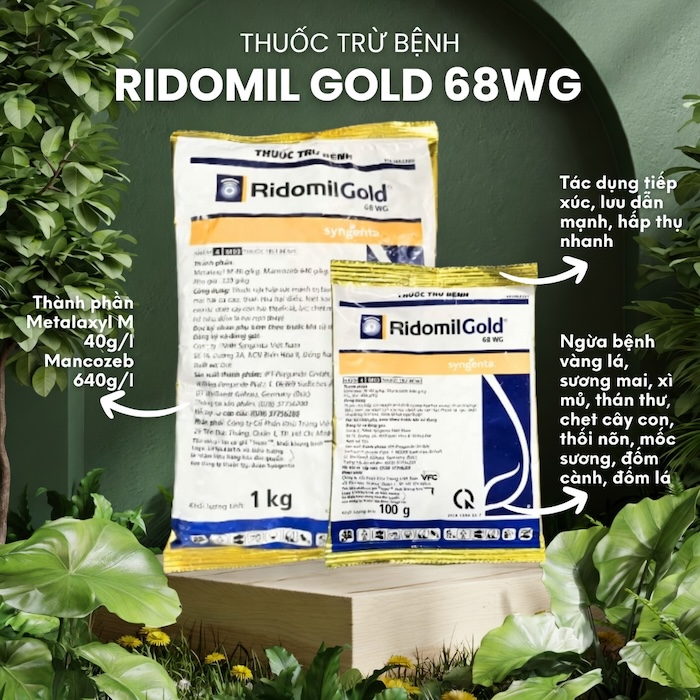 Thuốc trừ sâu ridomil gold