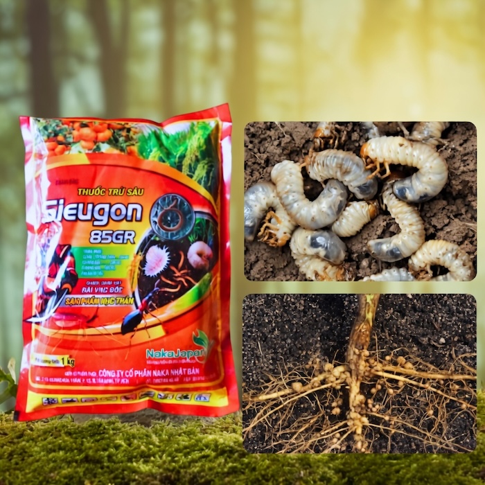 Thuốc trừ sâu siêu gold