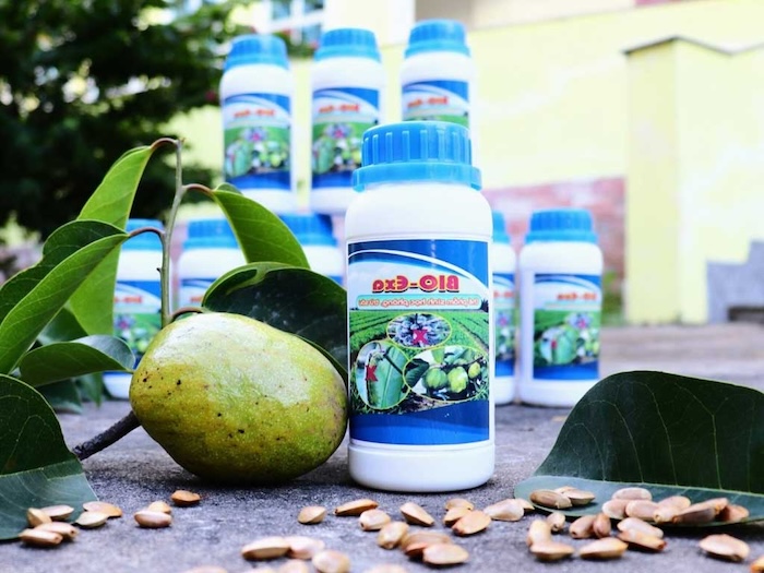 Thuốc trừ sâu từ hạt bình bát