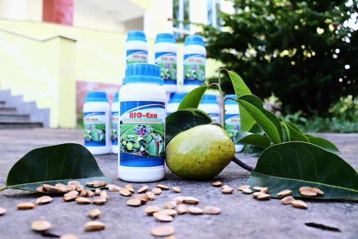 Thuốc trừ sâu từ hạt bình bát