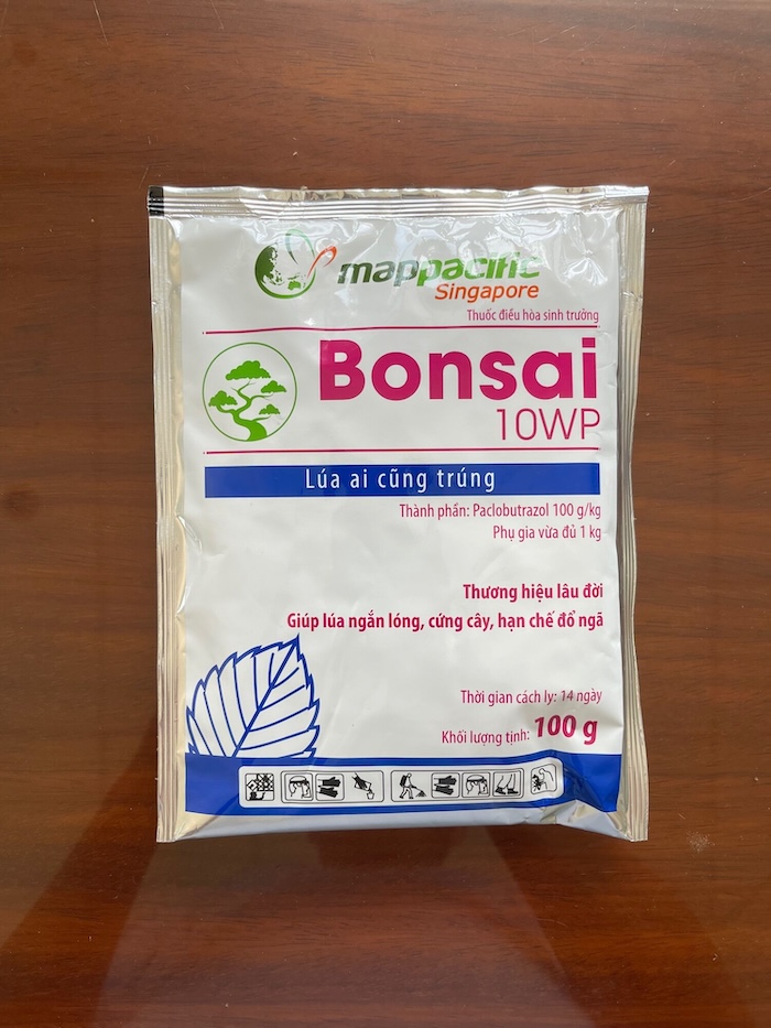 Thuốc trị bệnh bonsai