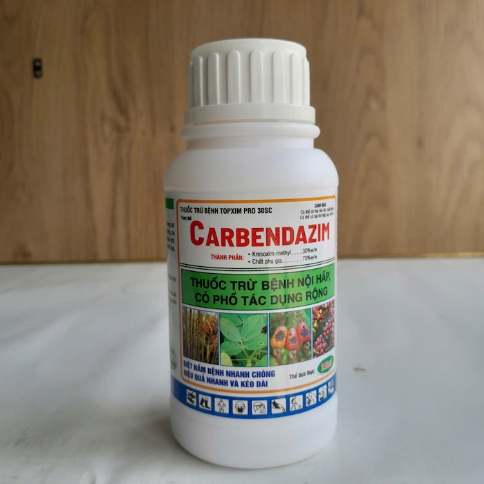 Thuốc trị bệnh carbendazim