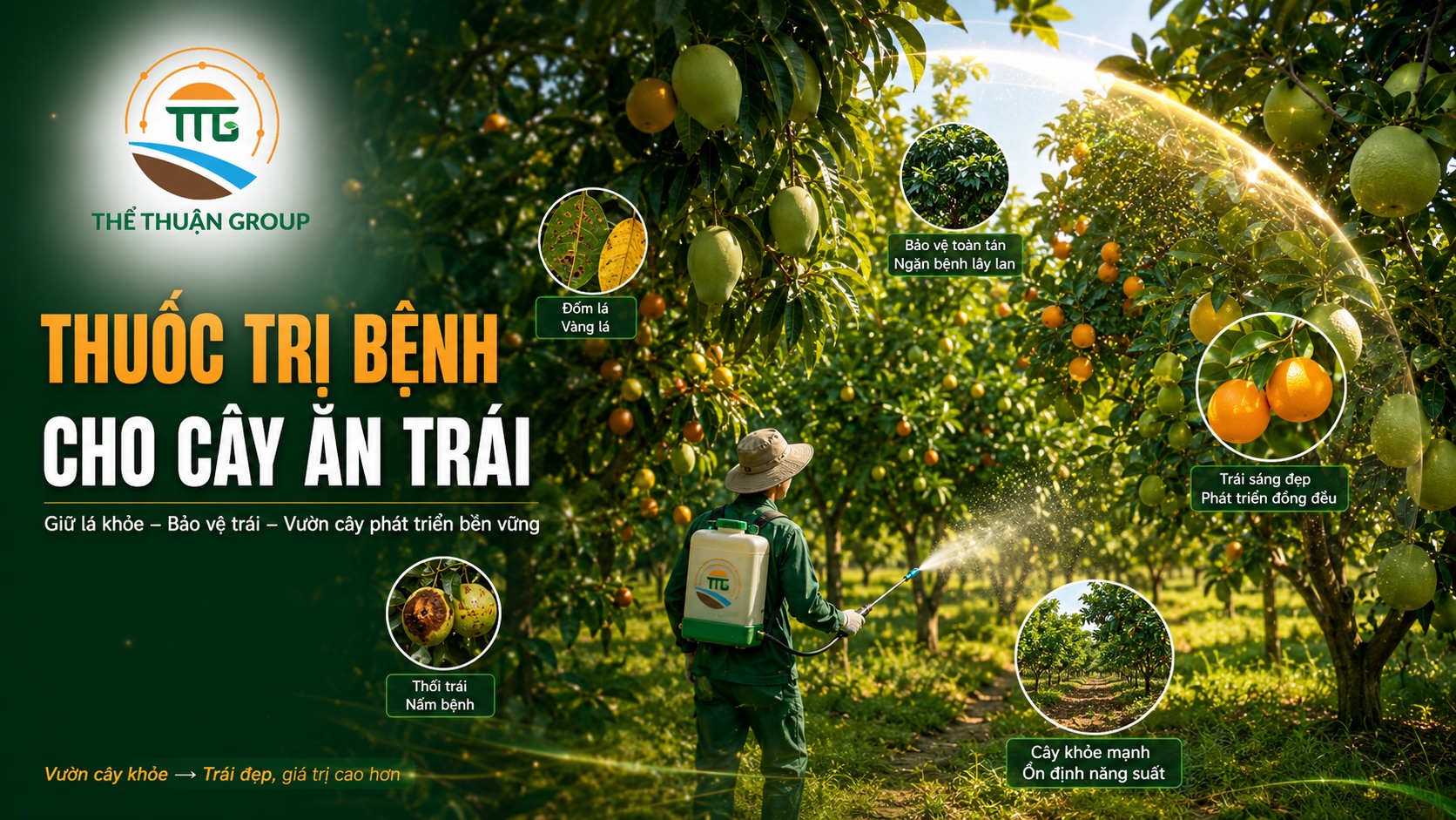Thuốc trị bệnh cho cây ăn trái