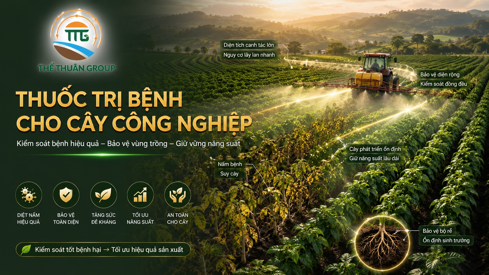 Thuốc trị bệnh cho cây công nghiệp