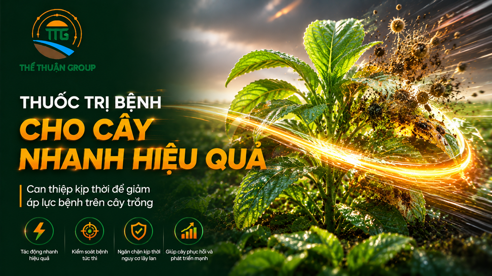 Thuốc trị bệnh cho cây nhanh hiệu quả Thuốc trị bệnh cho cây nhanh hiệu quả