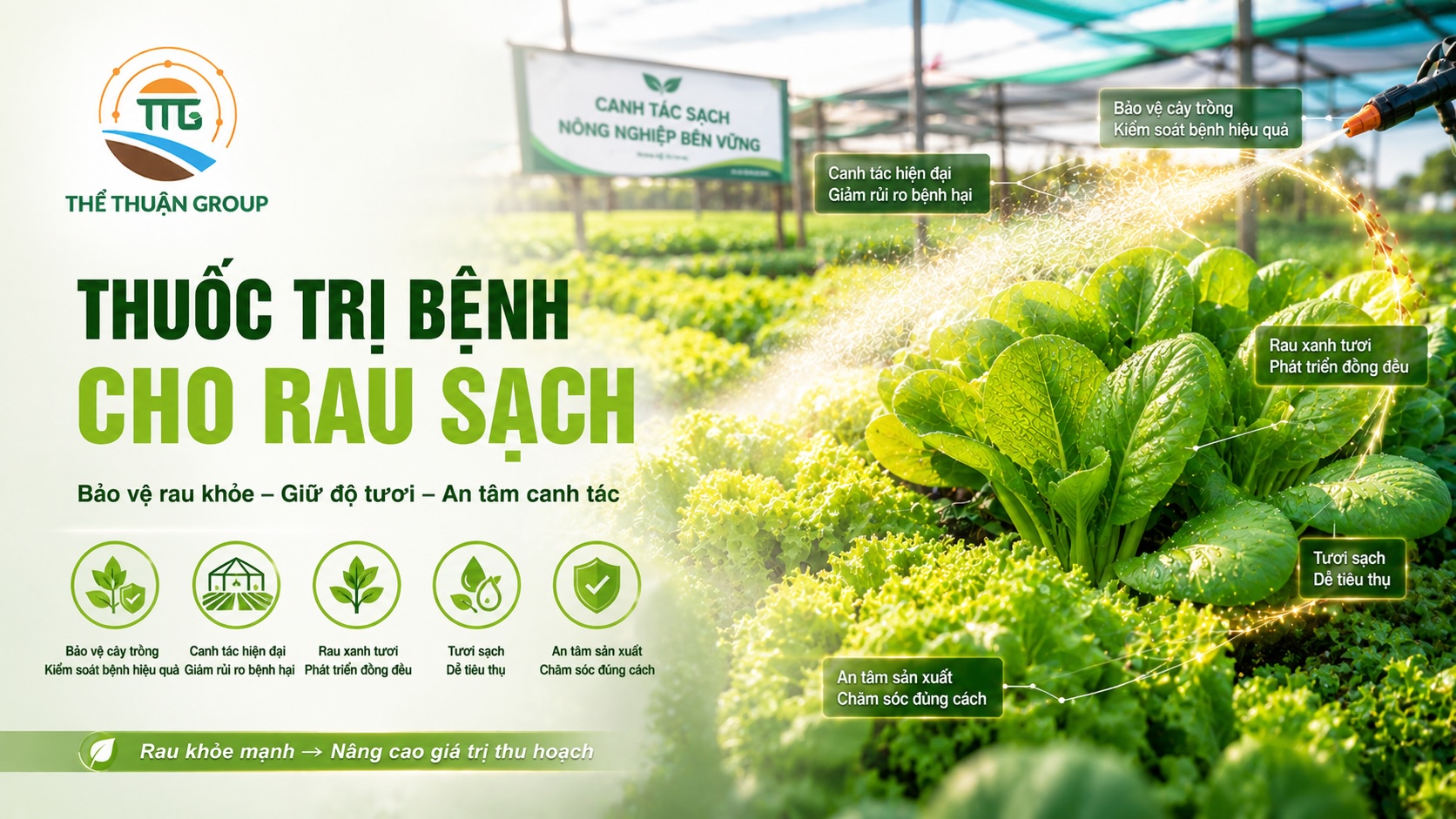 Thuốc trị bệnh cho rau sạch