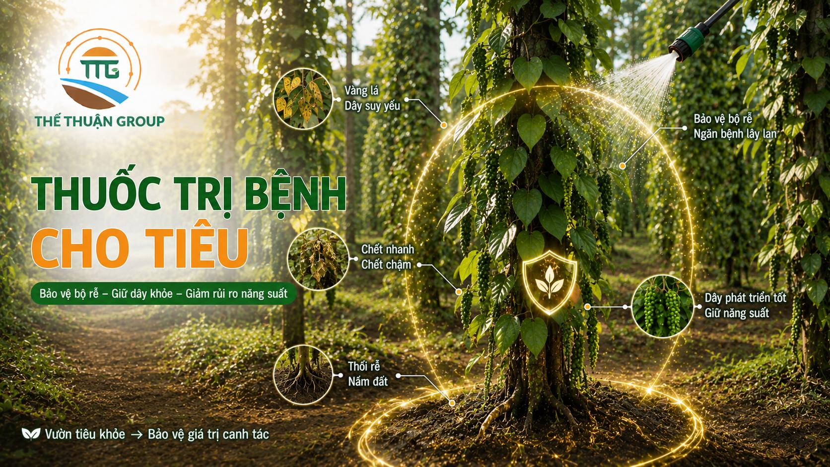 Thuốc trị bệnh cho tiêu