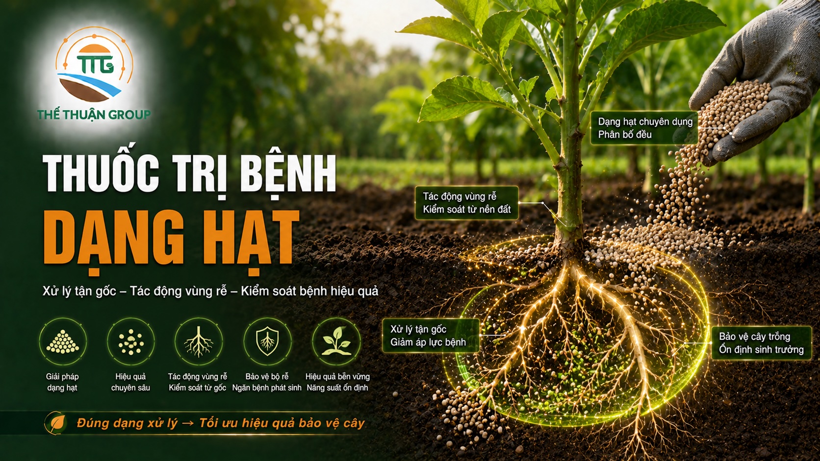 Thuốc trị bệnh dạng hạt Thuốc trị bệnh dạng hạt