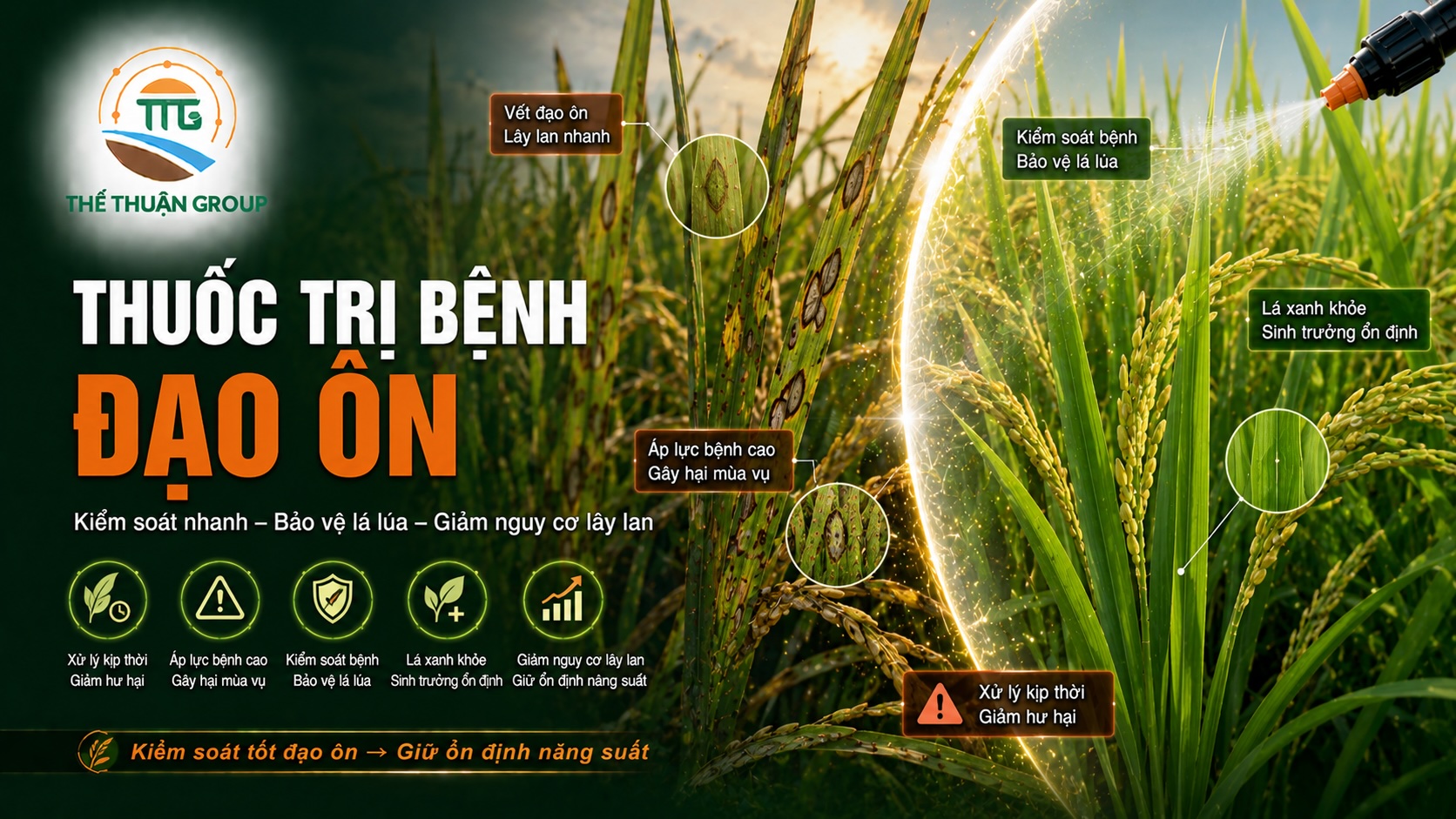 Thuốc trị bệnh đạo ôn