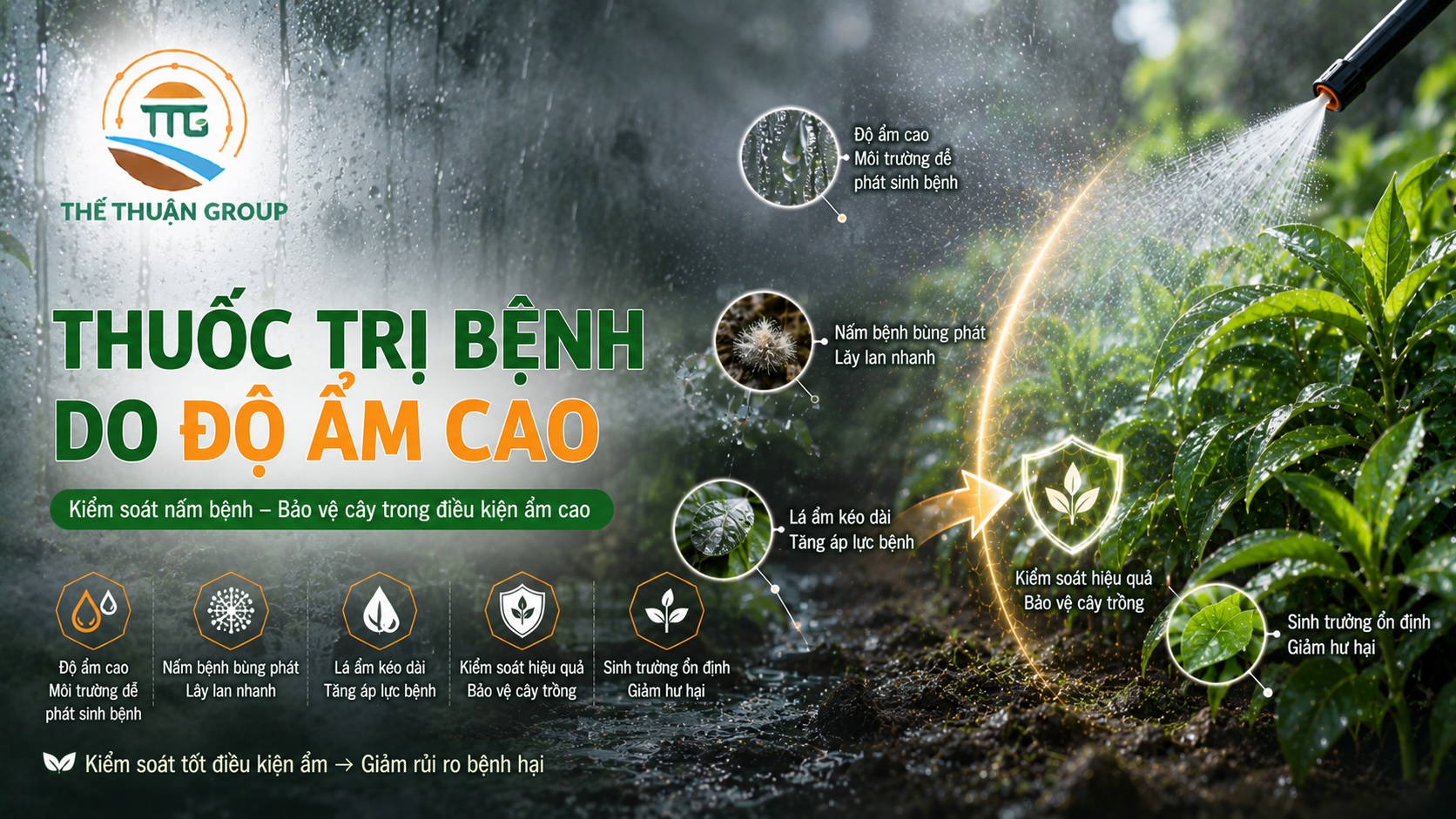 Thuốc trị bệnh độ ẩm cao cho cây