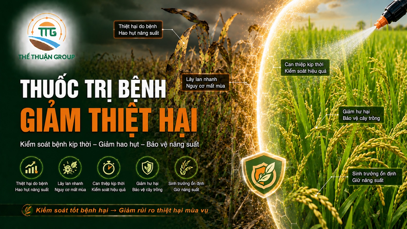 Thuốc trị bệnh giảm thiệt hại Thuốc trị bệnh giảm thiệt hại