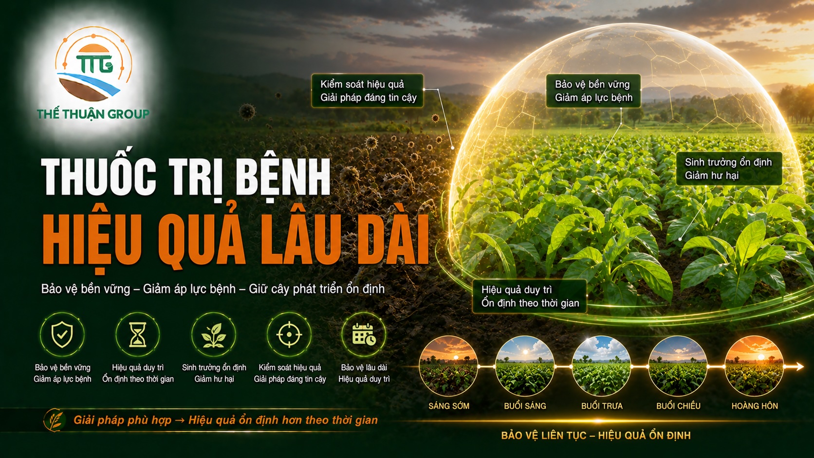 Thuốc trị bệnh hiệu quả lâu dài