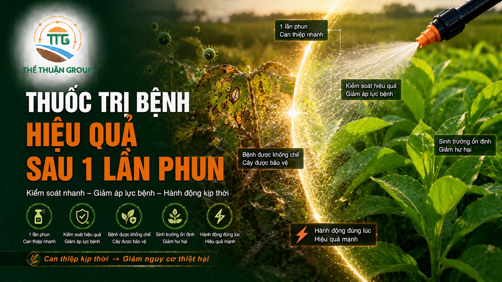 Thuốc trị bệnh hiệu quả sau 1 lần phun
