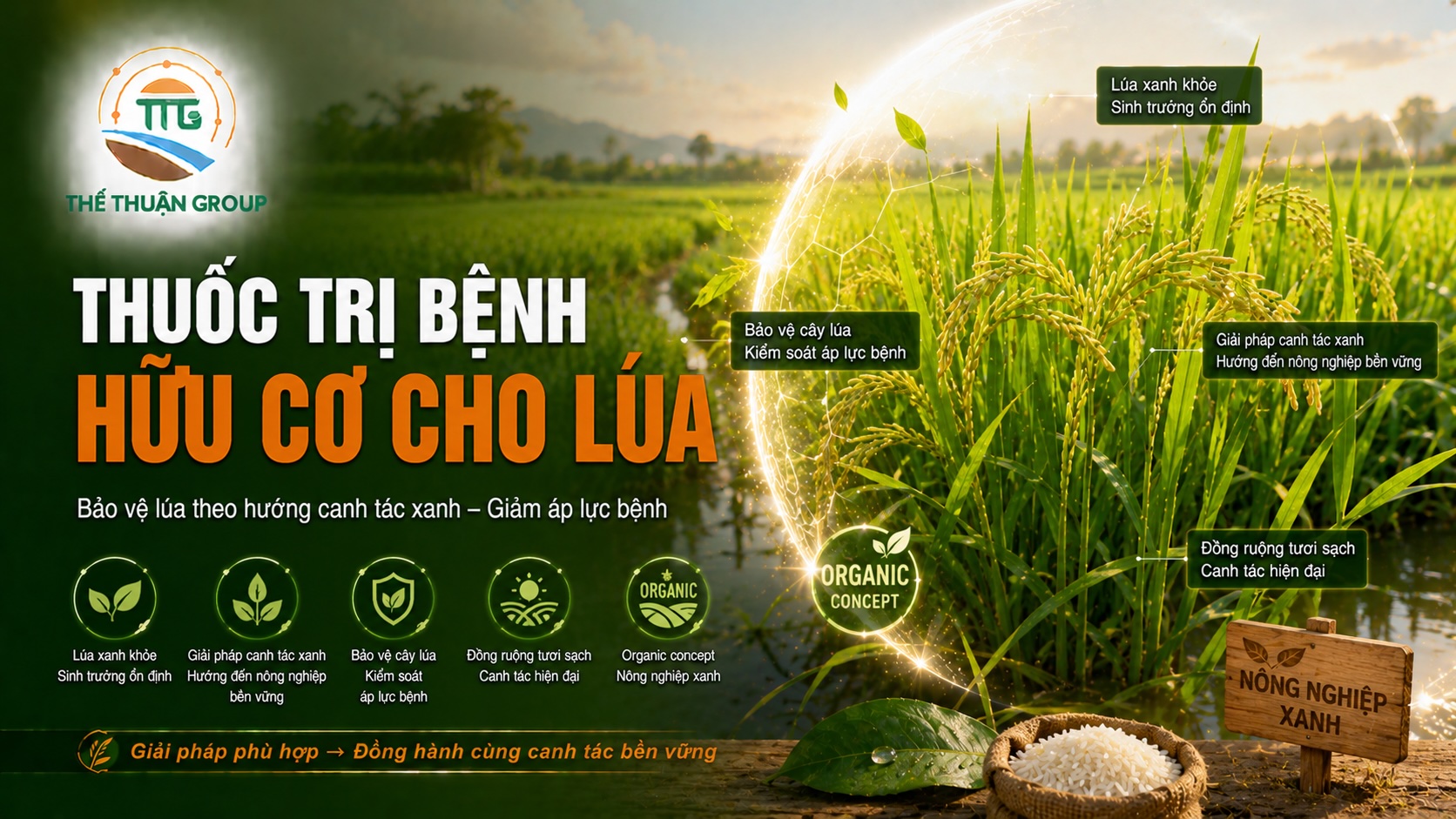 Thuốc trị bệnh hữu cơ cho lúa