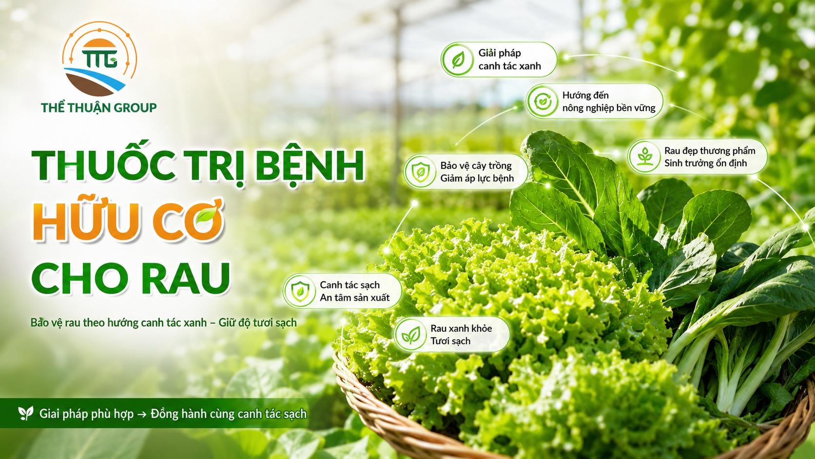 Thuốc trị bệnh hữu cơ cho rau