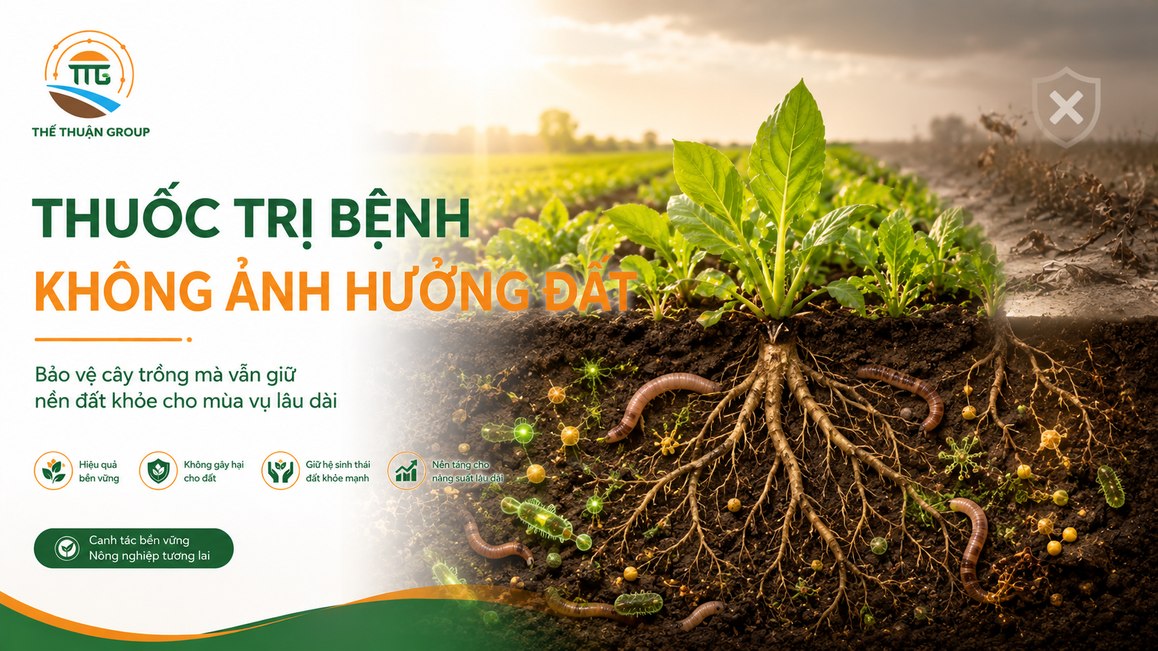 Thuốc trị bệnh không ảnh hưởng đất Thuốc trị bệnh không ảnh hưởng đất