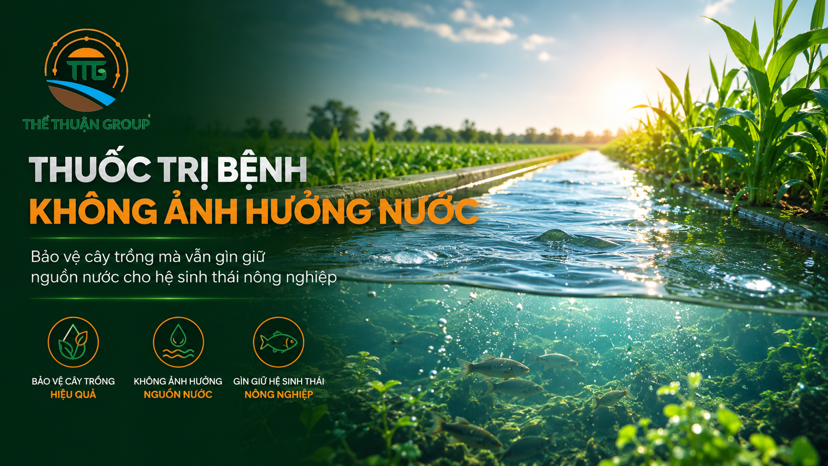 Thuốc trị bệnh không ảnh hưởng nước