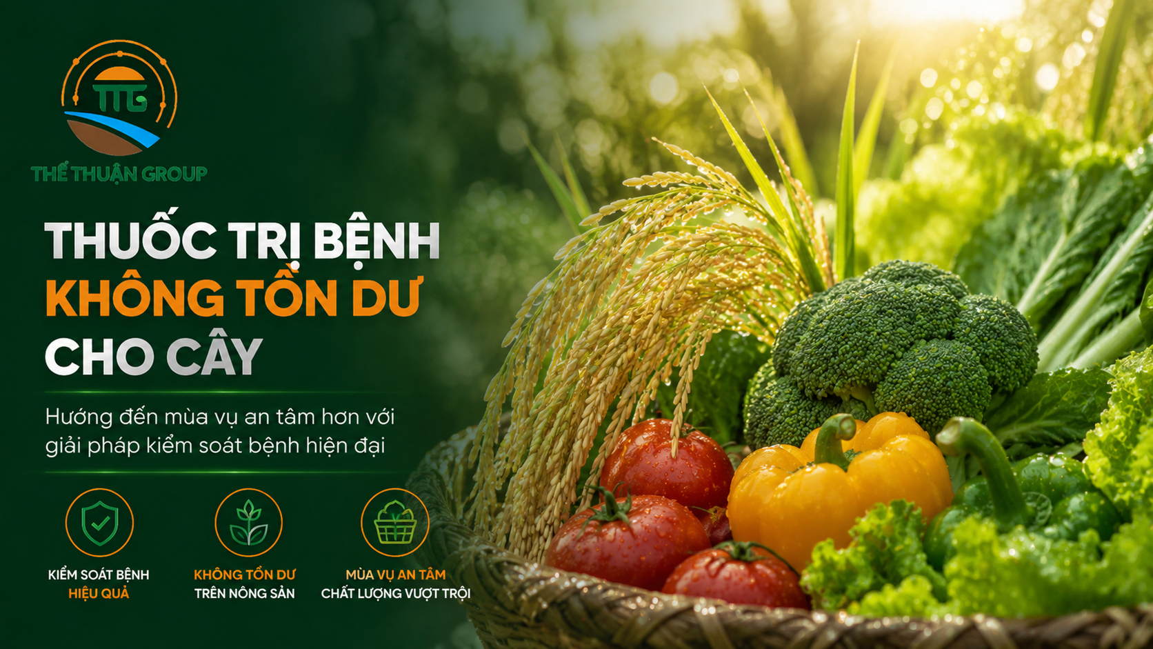 Thuốc trị bệnh không tồn dư cho cây Thuốc trị bệnh không tồn dư cho cây
