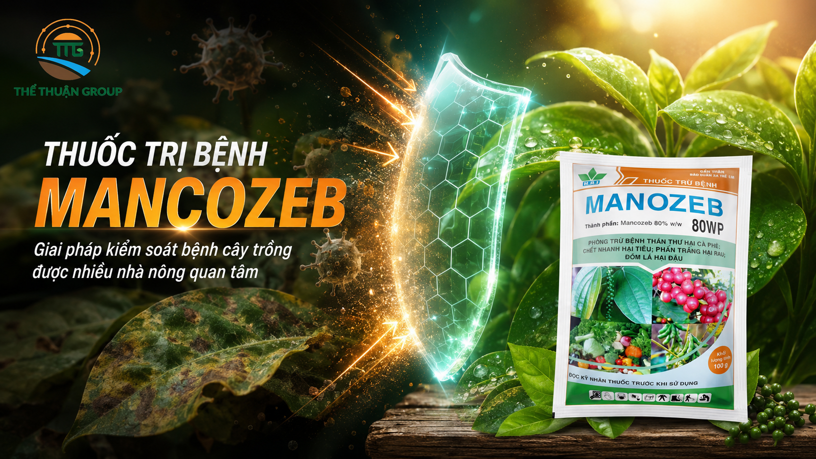 Thuốc trị bệnh mancozeb Thuốc trị bệnh mancozeb