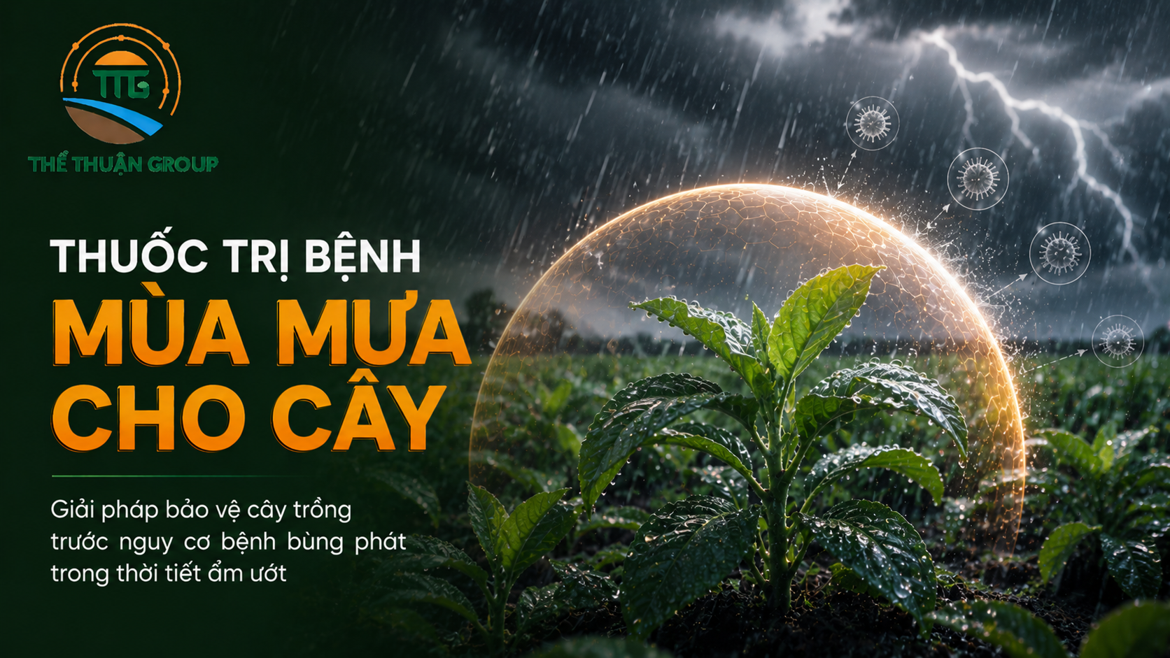 Thuốc trị bệnh mùa mưa cho cây Thuốc trị bệnh mùa mưa cho cây