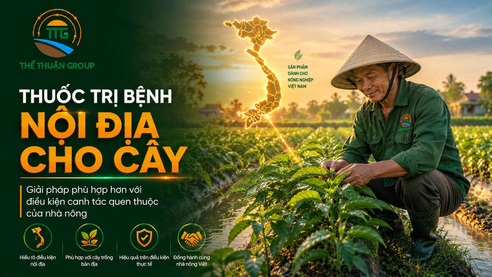 Thuốc trị bệnh nội địa cho cây