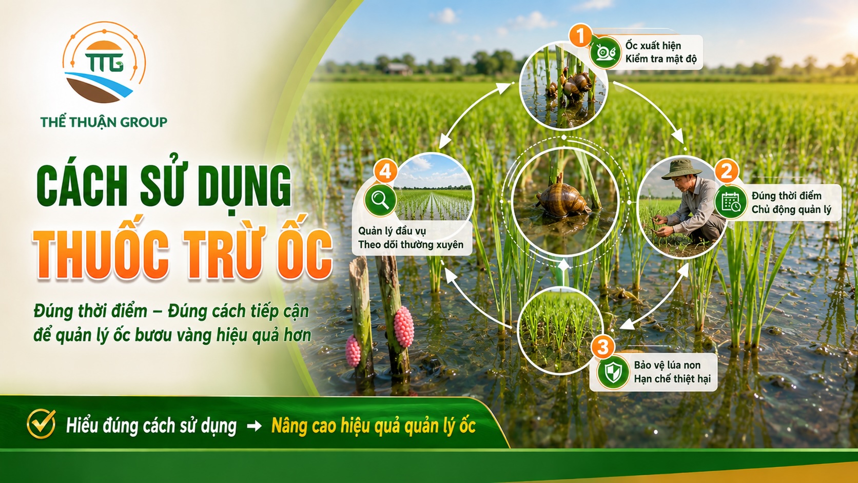 Cách sử dụng thuốc trừ ốc