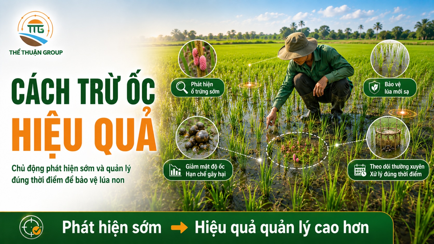 Cách trừ ốc hiệu quả Cách trừ ốc hiệu quả