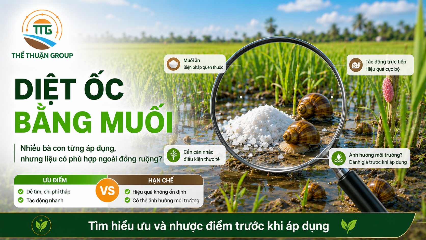 Diệt ốc bằng muối