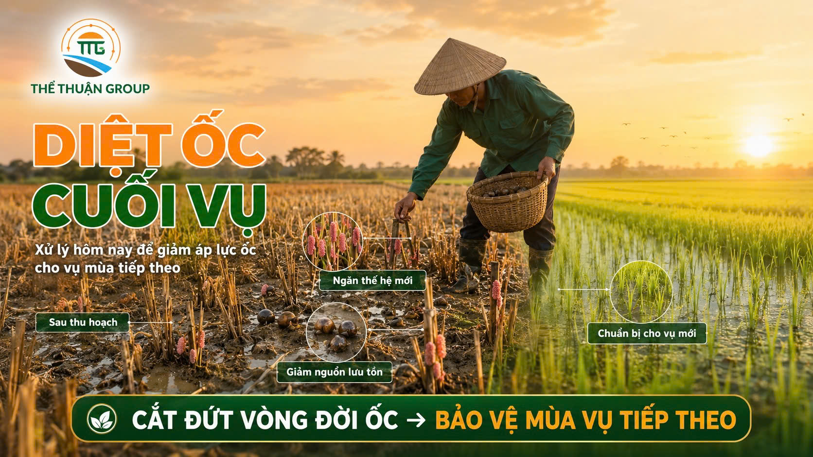 Diệt ốc cuối vụ Diệt ốc cuối vụ