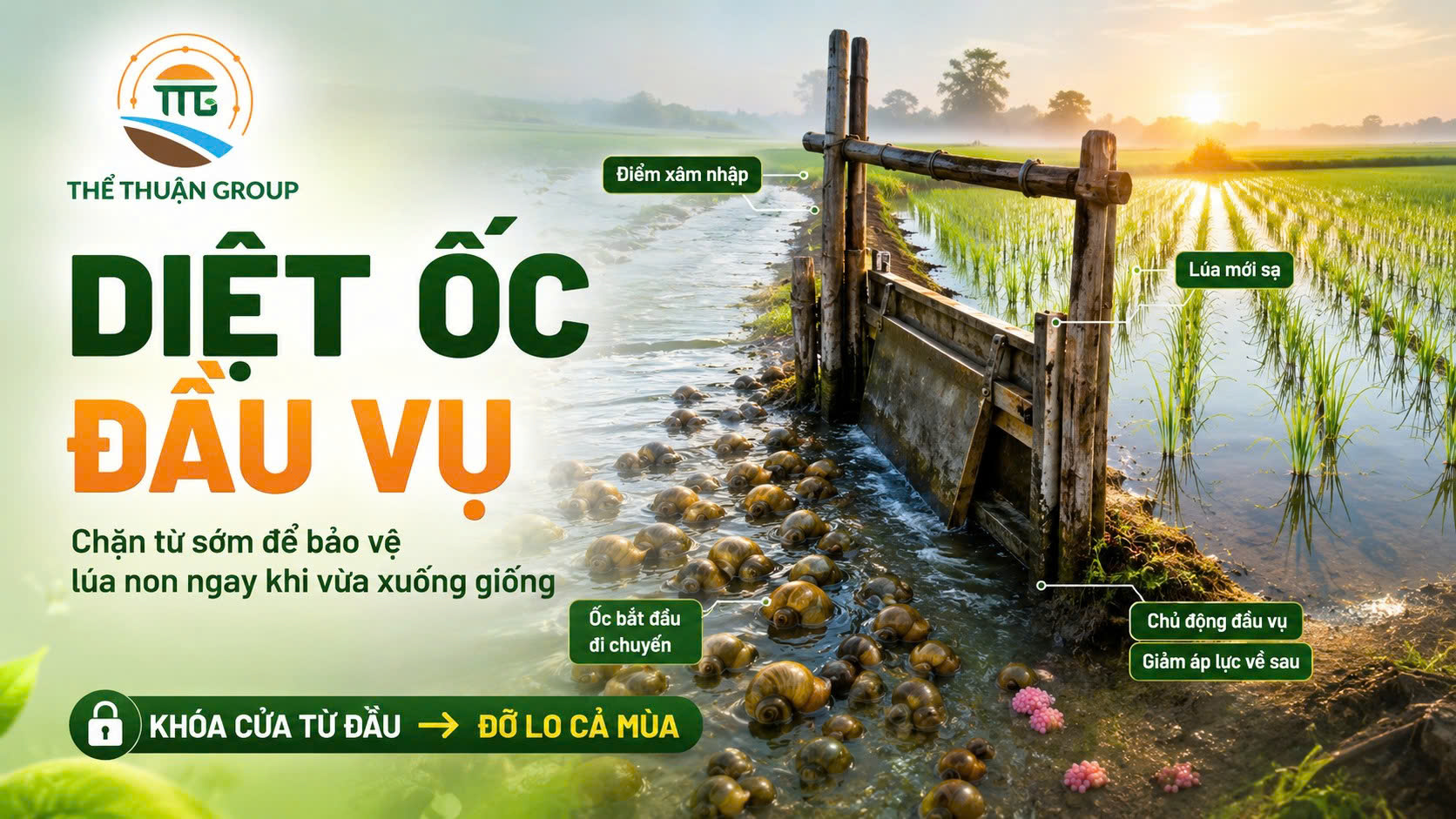 Diệt ốc đầu vụ Diệt ốc đầu vụ