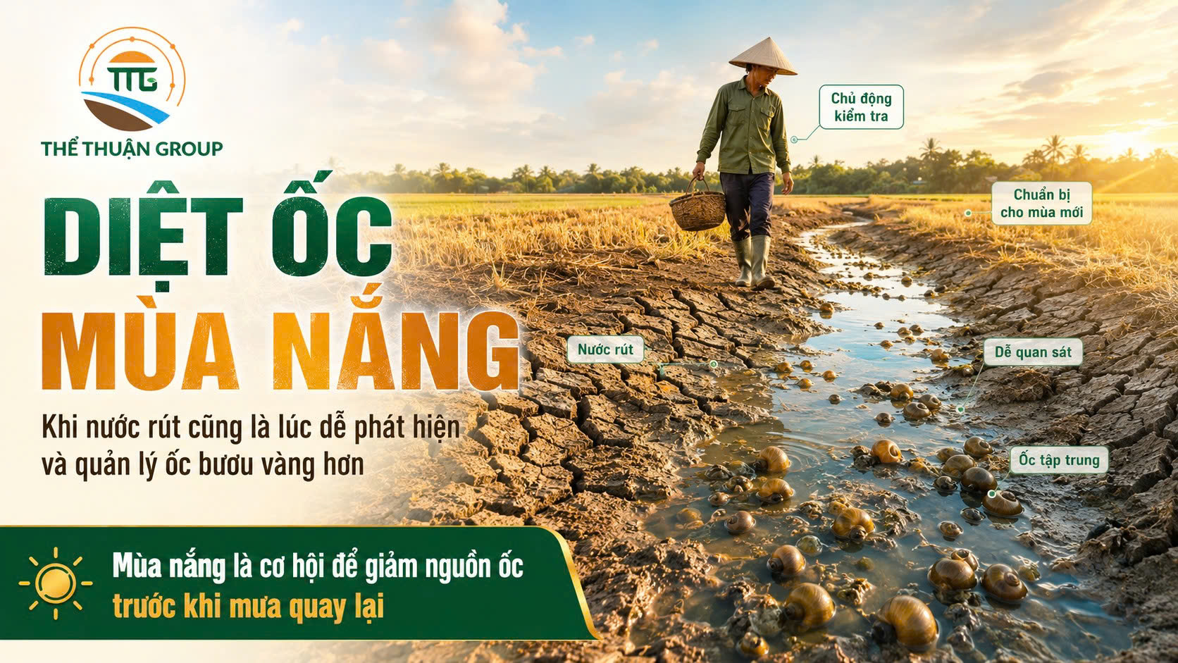 Diệt ốc mùa nắng Diệt ốc mùa nắng