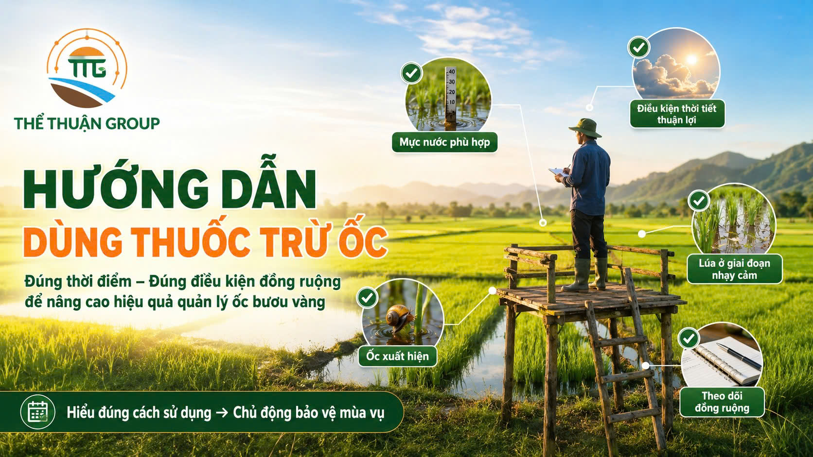 Hướng dẫn dùng thuốc trừ ốc Hướng dẫn dùng thuốc trừ ốc