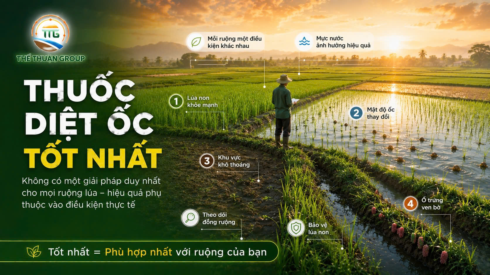 Thuốc diệt ốc tốt nhất Thuốc diệt ốc tốt nhất