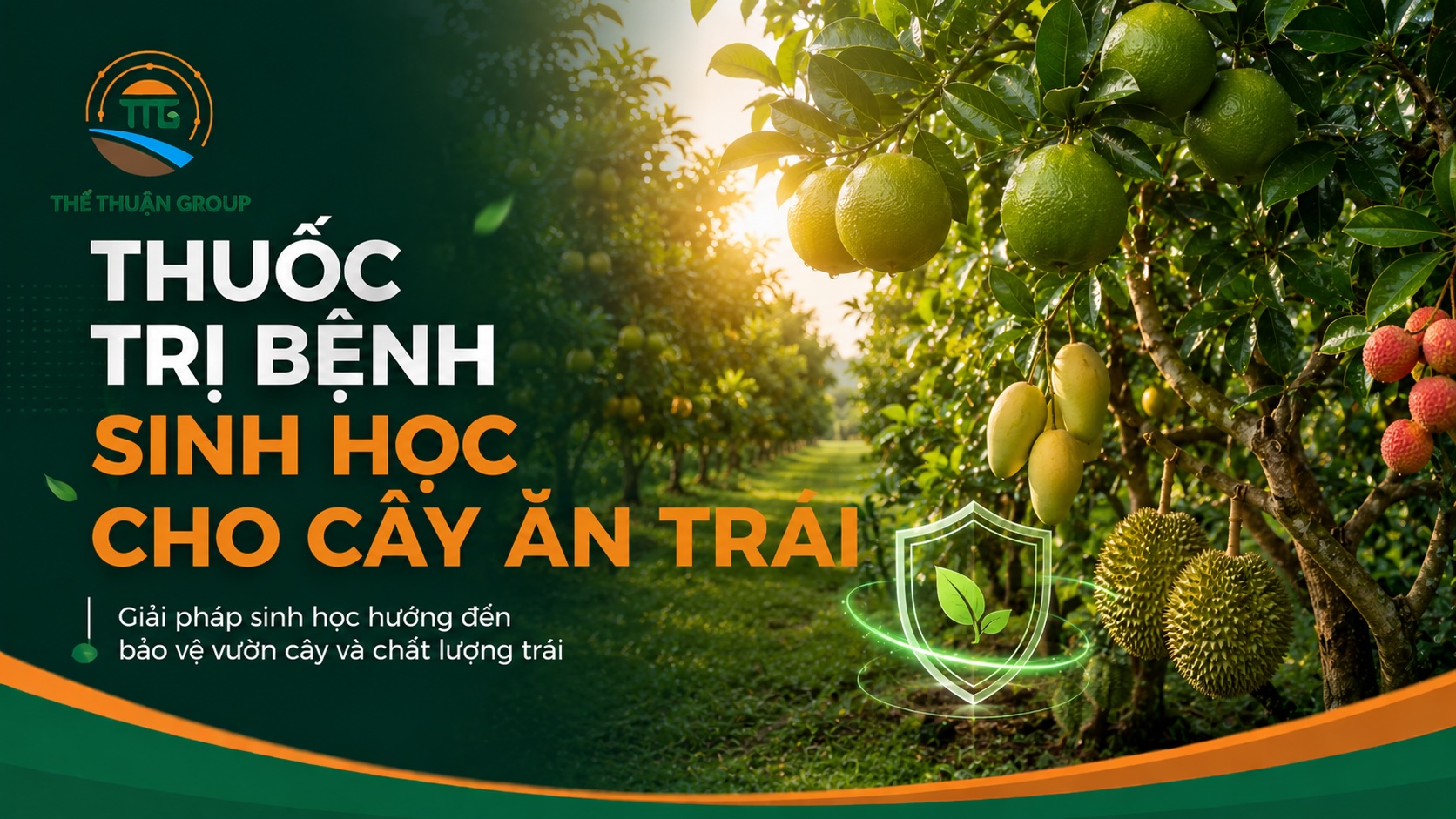 Thuốc trị bệnh sinh học cho cây ăn trái Thuốc trị bệnh sinh học cho cây ăn trái