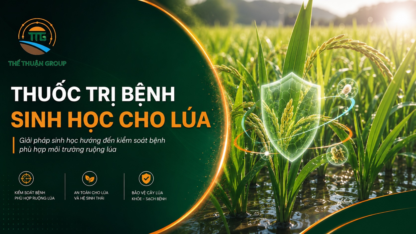 Thuốc trị bệnh sinh học cho lúa Thuốc trị bệnh sinh học cho lúa