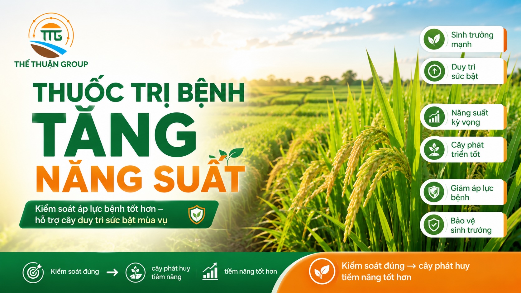 Thuốc trị bệnh tăng năng suất