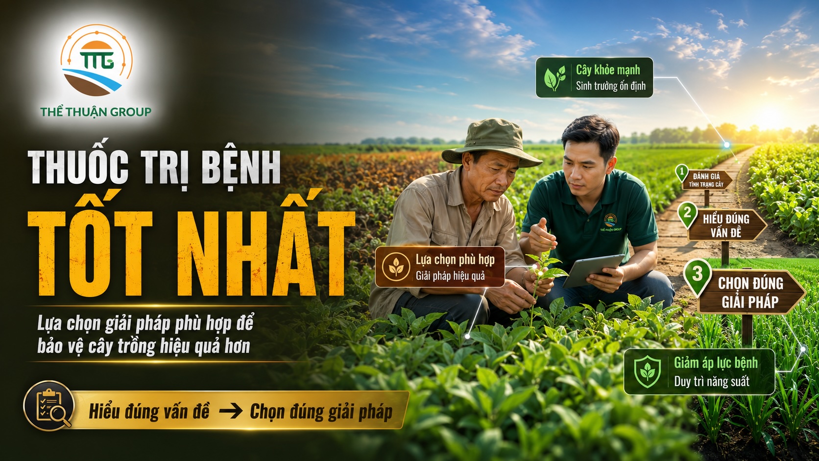 Thuốc trị bệnh tốt nhất Thuốc trị bệnh tốt nhất