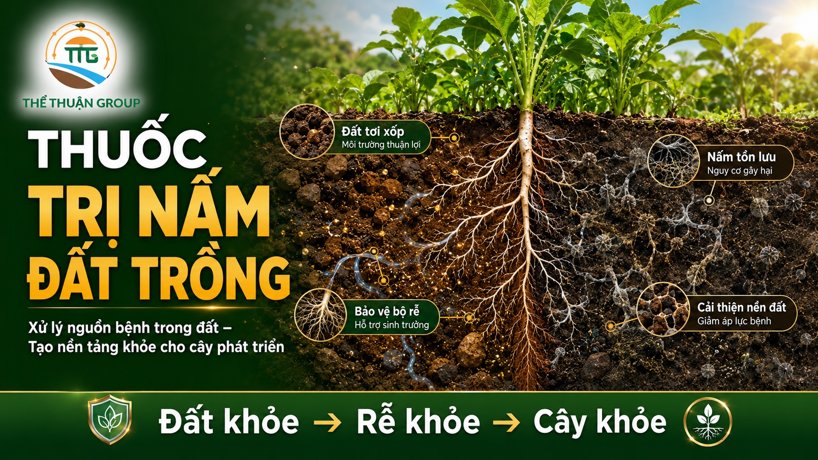 Thuốc trị nấm đất trồng