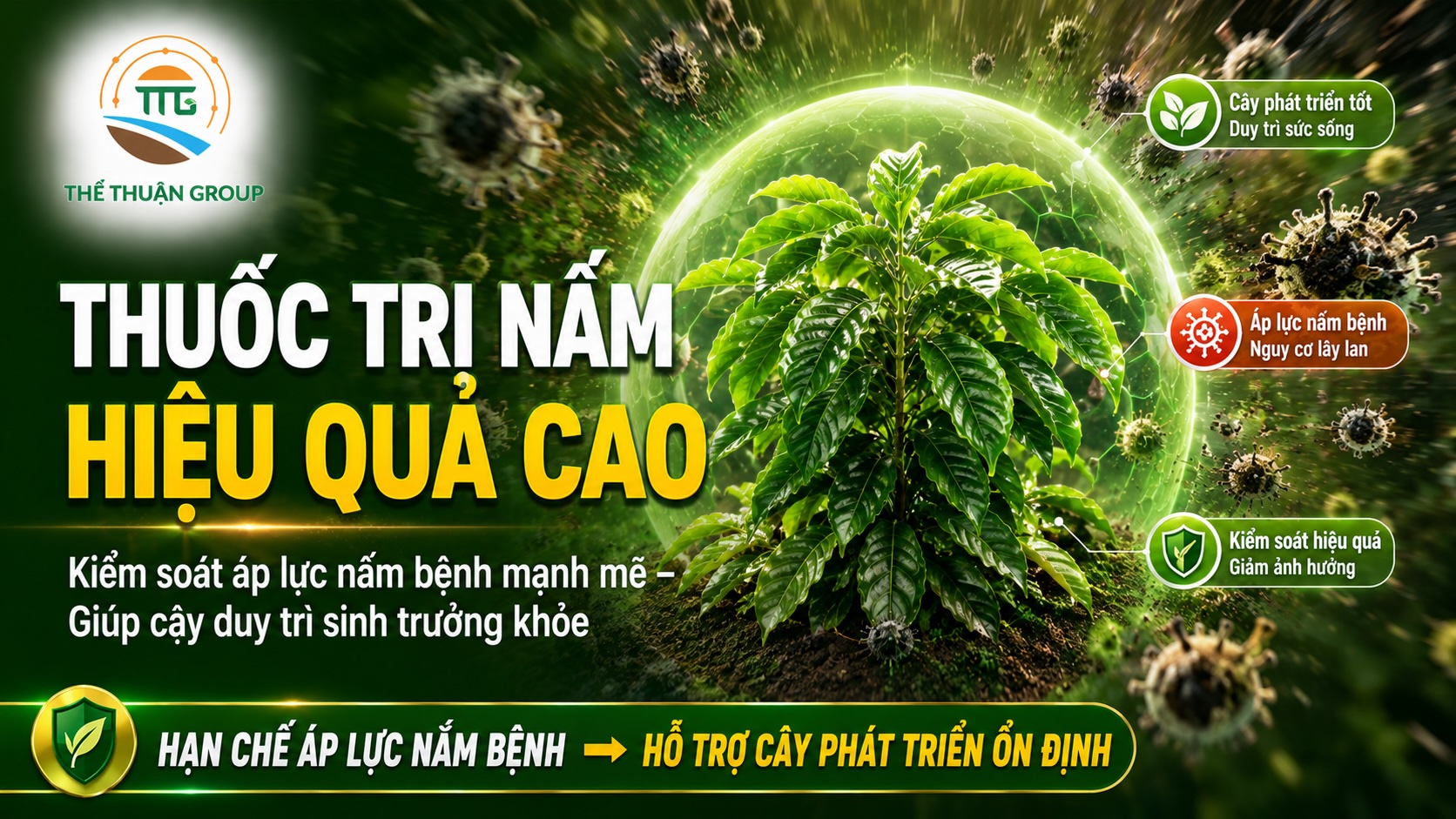 Thuốc trị nấm hiệu quả cao