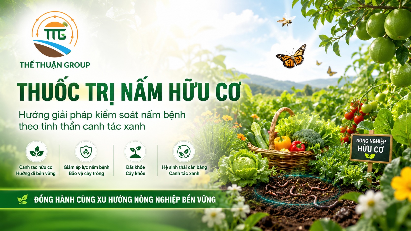 Thuốc trị nấm hữu cơ Thuốc trị nấm hữu cơ