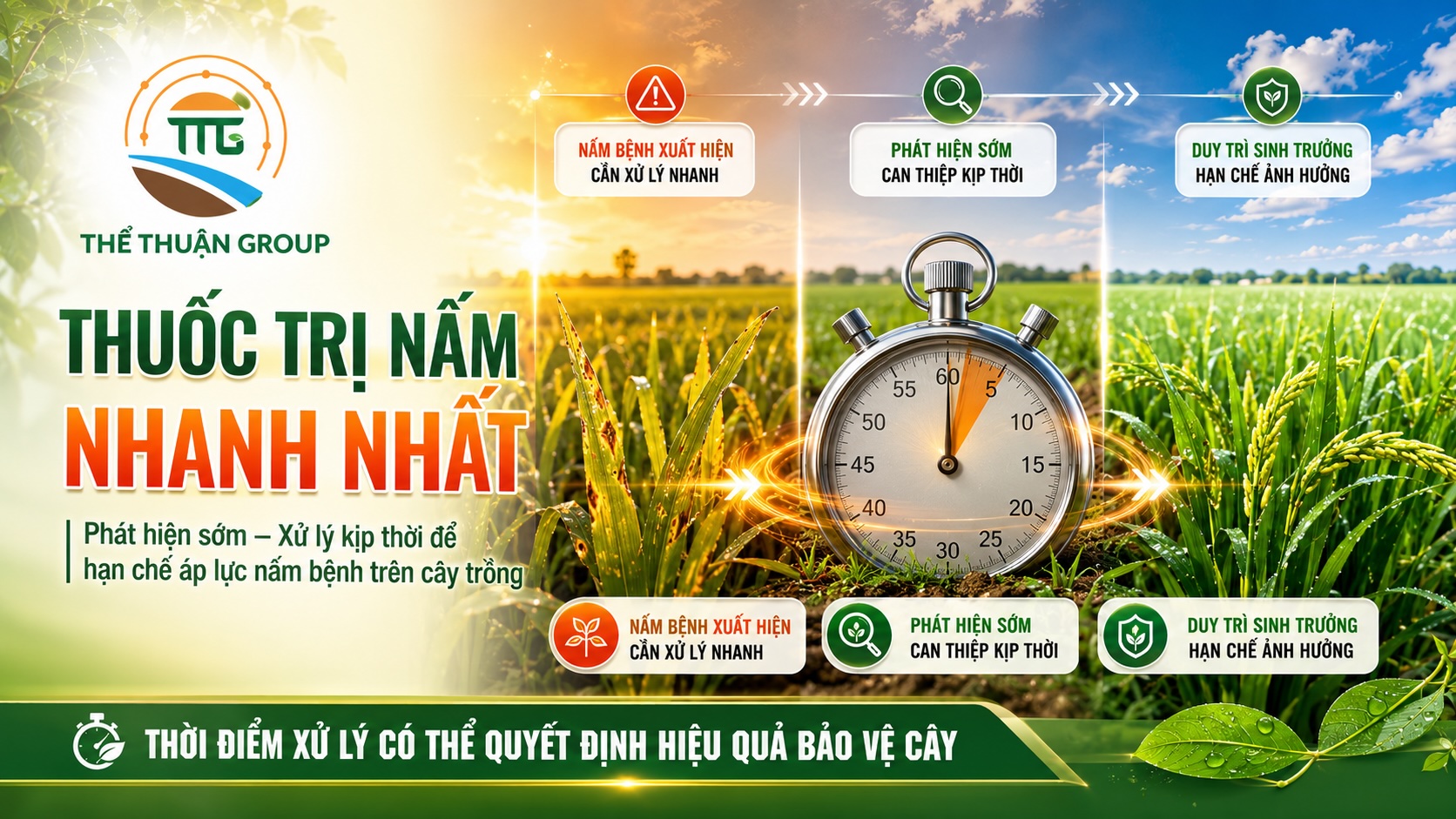 Thuốc trị nấm nhanh nhất