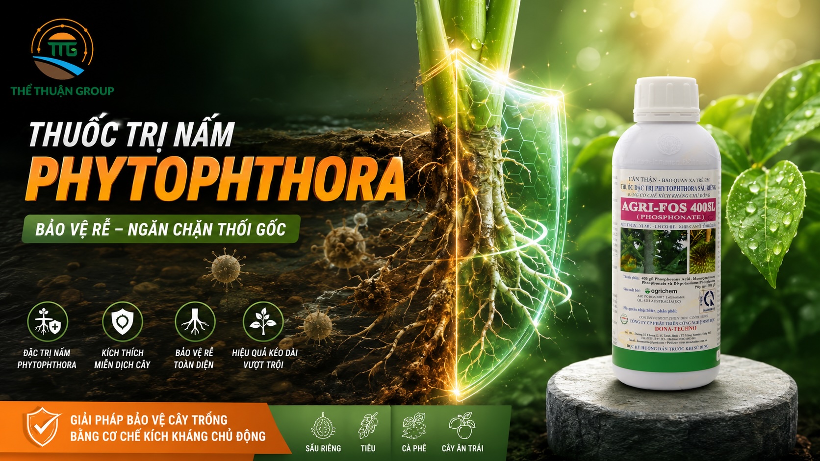 Thuốc trị nấm phytophthora Thuốc trị nấm phytophthora